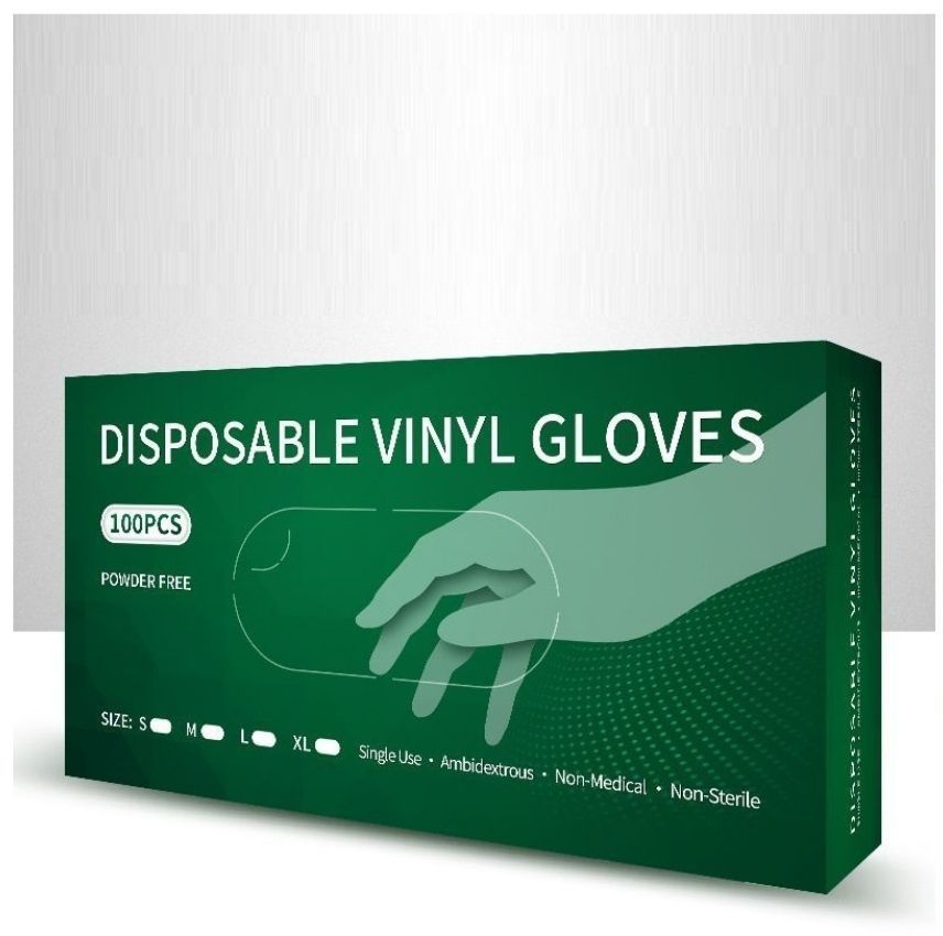 Vinyl Gloves (100 pcs)